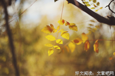 关于.咫尺为天涯的句子