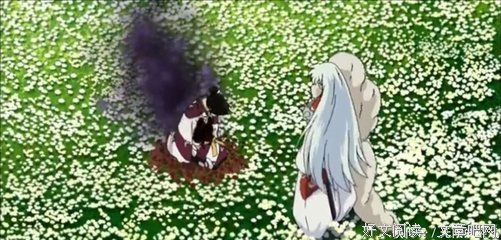 一人所爱一生心疼优美的句子