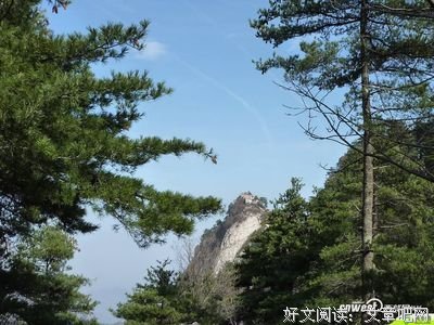 一休经典句子