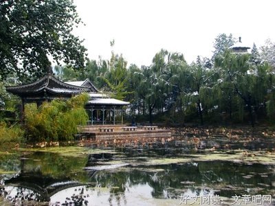 最新的若荷清寒名言大全
