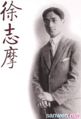 最经典的《招摇》经典语句大全