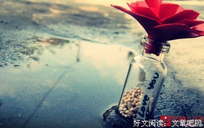 最经典的《柔软》经典名句大全