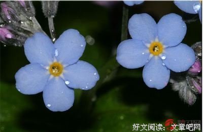 最经典的《沉舟》语录摘抄