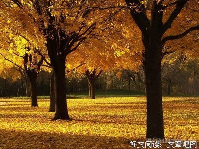 最经典的《眠空》散文美句大全