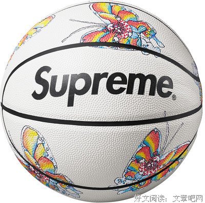 最全的《蝴蝶》经典语录大全