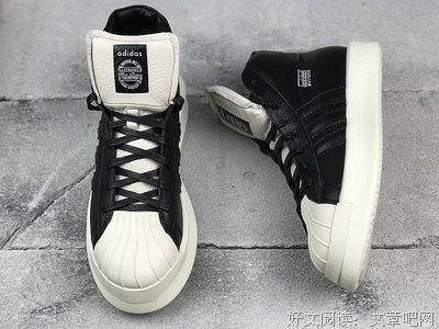最新的《贝壳》经典名句