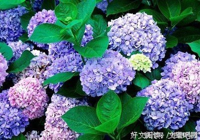 《须臾》经典句子