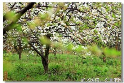 关于白正的格言
