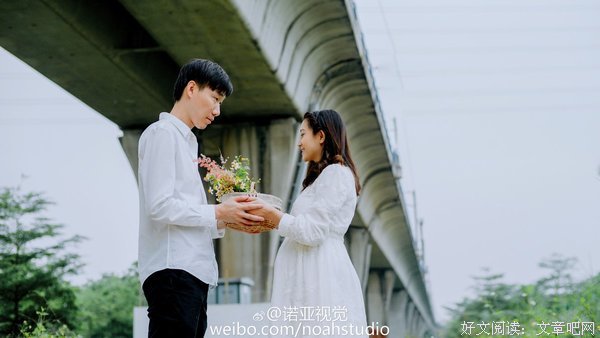 诺亚的句子