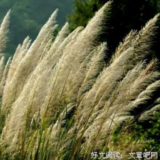 无知 无畏经典的句子