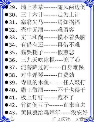 关于董卿的名言