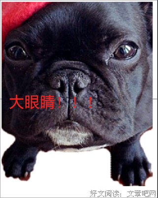 最经典的《彼岸花》经典名句大全