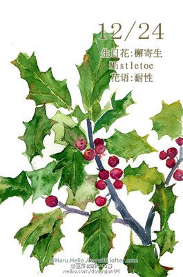 最新的《檞寄生》经典名句