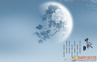 最新的《江城子》佳句摘抄大全