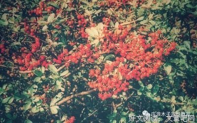 《法华经》经典语句