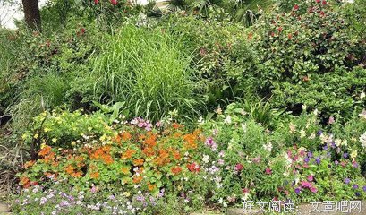 百年孤独名句欣赏