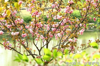 最新的晚情名言名句