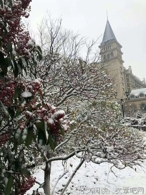 最新的《眉间雪》好段摘抄大全