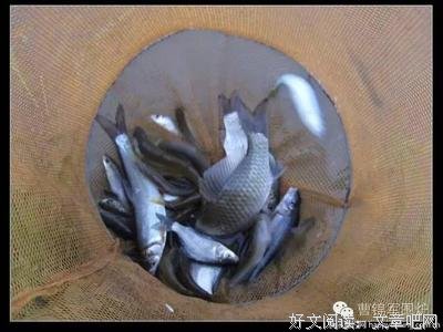 最新的《红与黑》佳句摘抄