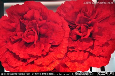 最全的《红牡丹》小说摘抄大全