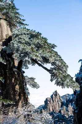 最新的《美图吧》经典名句