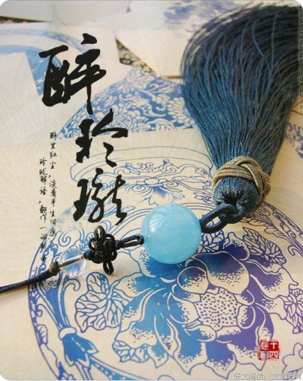 最全的《醉玲珑》小说摘抄