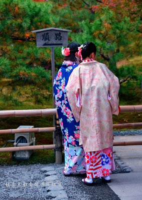 最新的《金阁寺》佳句摘抄