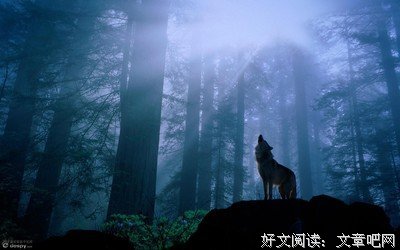 最经典的《星空club》经典语句大全