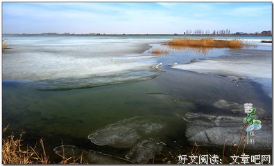 《人间草木》小说摘抄