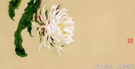 最全的《似水流年》佳句摘抄
