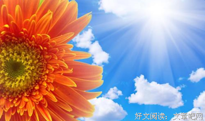 关于物尽其用的语句