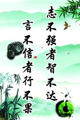 关于秒成的名言