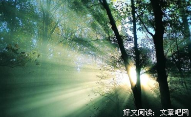 关于一本正经的语句