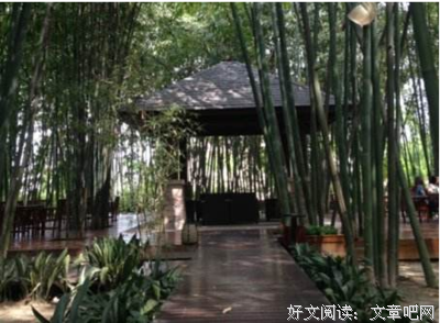 淡淡憂傷经典名句