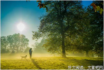 寂寞沙冷经典的句子