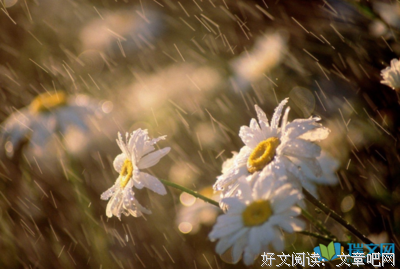 关于麦苗初发的句子