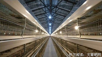 偶遇佳句:)优美的句子