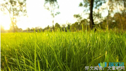 最经典的瓶子的名言