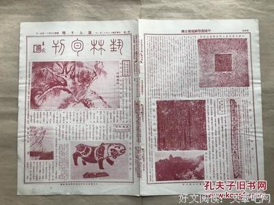 赵菱名言