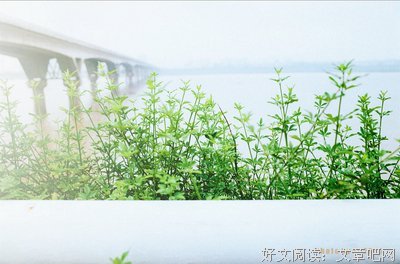 最全的空梦15句经典名言