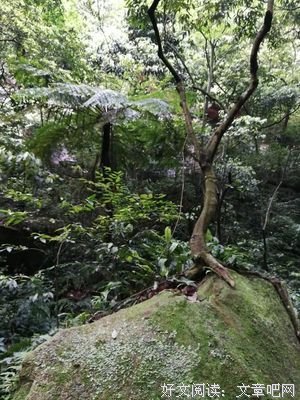 最全的血红名言名句
