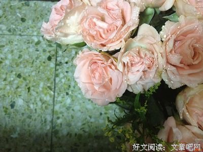 写给心里有苦的人：如果累了，请学会放下