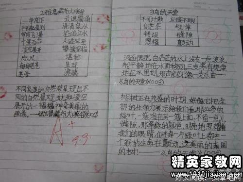 最经典的《口袋妖怪》佳句摘抄大全