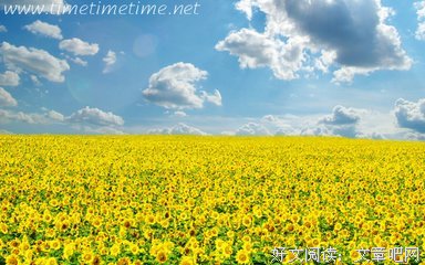 最全的《大地之灯》经典语句