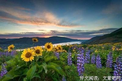 最经典的《心语馨音》名句欣赏