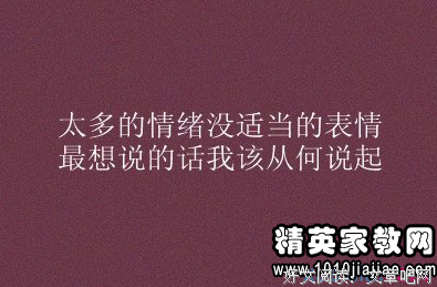 《我怀念的》经典句子