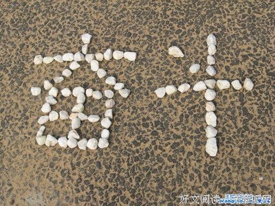 最新的《我的奋斗》经典语句