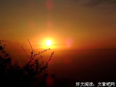 最全的《暮光之城》经典名句