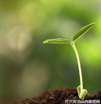 人满为患的名言_关于人满为患的名言