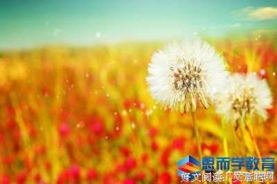 最经典的叶倾城名言